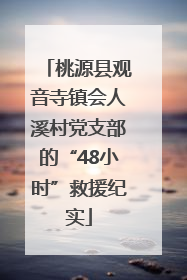 桃源县观音寺镇会人溪村党支部的“48小时”救援纪实
